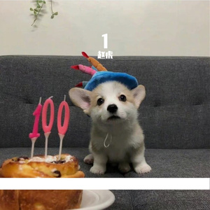 我怀念的(cover孙燕姿)