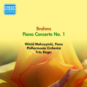 Piano Concerto No. 1 in D Minor, Op. 15:II. Adagio