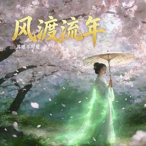 风渡流年