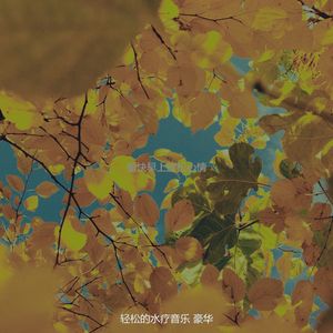 抚慰的冥想回忆