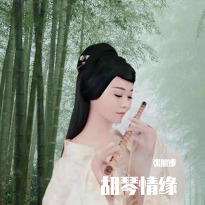 胡琴情缘(独唱)