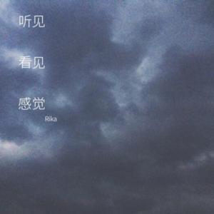 听见，看见，感觉
