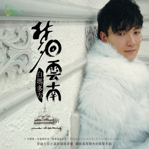 梦回云南 (DJ墨韩Mix版)