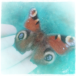 Dragonship (Instrumental)