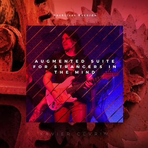 Augmented Suite for Strangers in the Mind