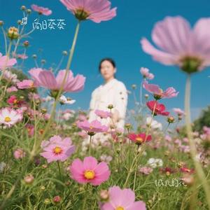 城北的花 (Cover 王宇宙Leto & 乔浚丞)