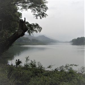 陈旧树林（民谣版Demo）