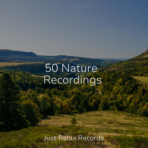 Echoes in Dusky Tones