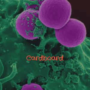 Cardboard
