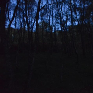 Ghost 1. Calling Spirits In A Low Voice