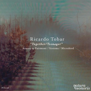 Together (Microbird Remix)