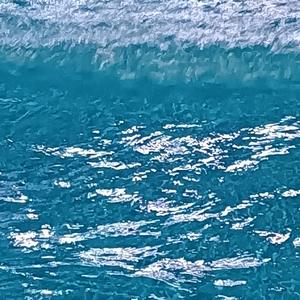 晚风告白（无声卡）