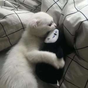 心仪（弹唱） （翻自 徐秉龙）