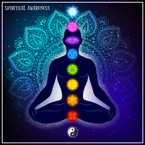 Borneo Midnight (Edit)