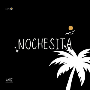 Nochesitas