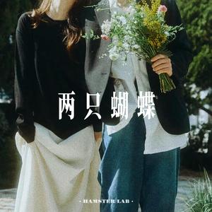 两只蝴蝶 - R&B氛围男声