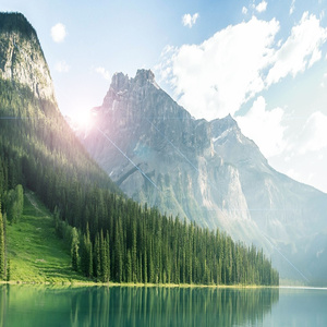 명상 (오감의 휴식)