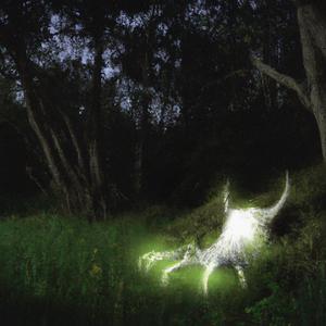 claws (feat. wishlane)