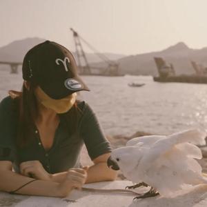 妳太善良——（劉心悠 張智霖版）