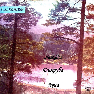 Дилруба (Индийска песен)
