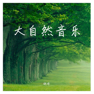 森林的味道2