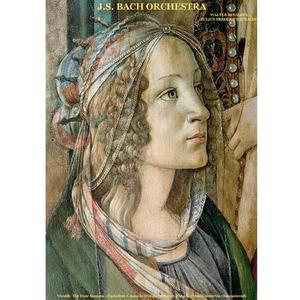 Concerto for Violin, Strings and Continuo in E Major, No. 1, Op. 8, RV 269 “La Primavera” (Spring): I. Allegro