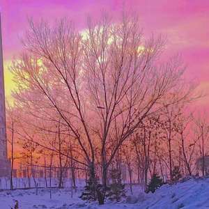 一首不太甜的情歌