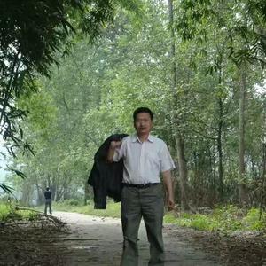 美丽的草原我的歌