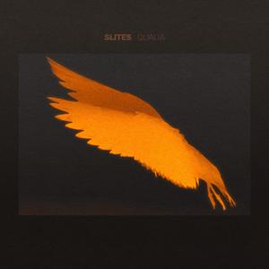 Qualia