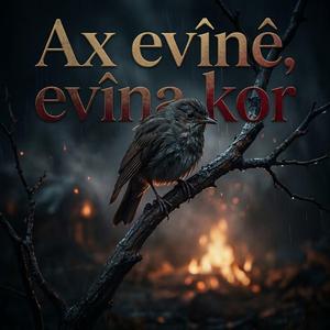 Ax evînê evîna kor
