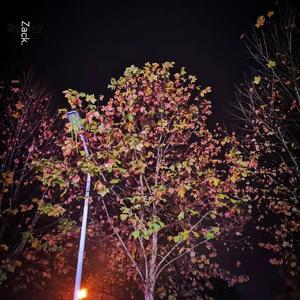 杂part3（Prod by GOAT CREW)