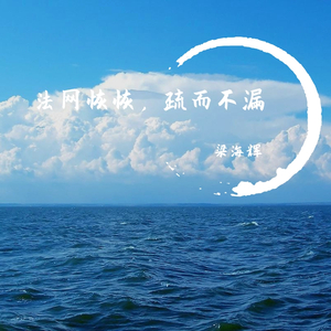 法网恢恢，疏而不漏