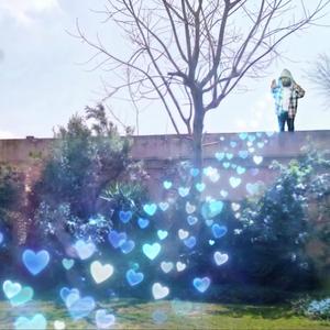 אינסוף מוצק