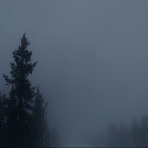 December