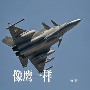 像鹰一样