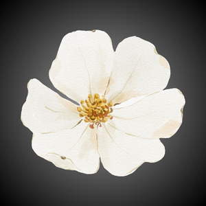 Se For pra Ser Assim