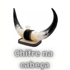 CHIFRE NA CABEÇA