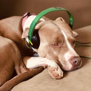 Horizon of Transcendence