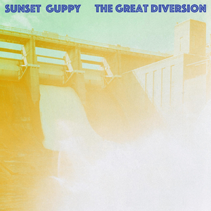 Baby Aspirin + Glucosamine