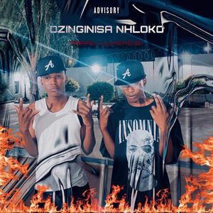 DZINGINISA NHLOKO (x Trippie)