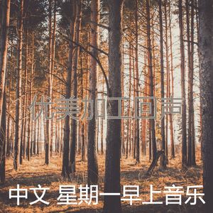 优美星期一器乐