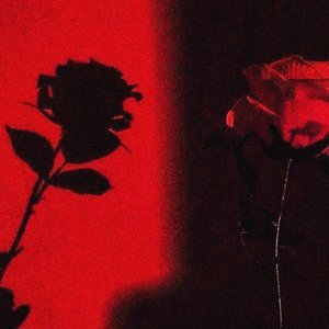 Q.E.P.D Nuestro Amor