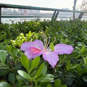 那年时光--拾光者