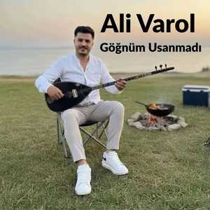 Göğnüm Usanmadı