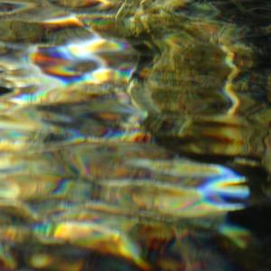 Phenomental Biotuning Orchestra – Flipswitch to other Galaxy 1