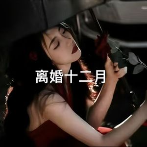 离婚十二月