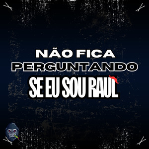 Não fica perguntando se eu sou Raul