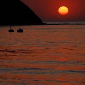 走错过路看错过人