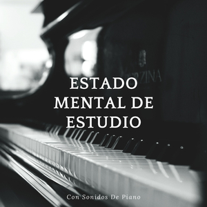 Reflexiones De Piano