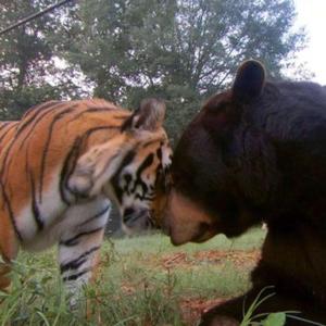 face2face (feat. handweep & lexa903)